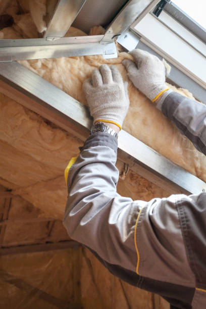 Insulation Contractors for Homes in Brown City, MI