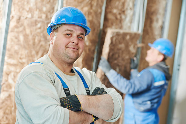 Professional Insulation Contractor in Brown City, MI