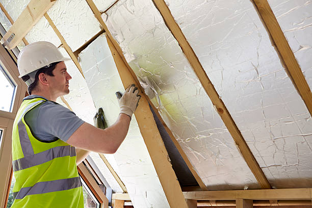 Best Insulation for New Construction  in Brown City, MI